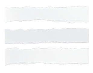 White ripped paper strips with torn edges isolated on white background