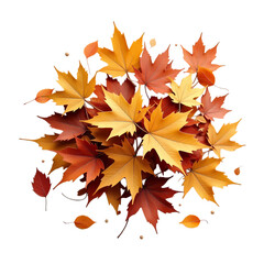 Pile of autumn maple leaves in warm colors isolated on transparent background