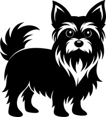 Yorkshire Terrier (Silky variant)
 silhouette vector icon  black , white background 
