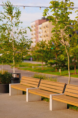 urban park benches under string lights in tranquil setting with lush greenery. modern apartment...
