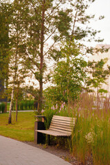 tranquil park scene with wooden bench surrounded by lush greenery and tall grasses. ideal for...