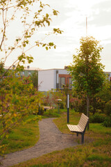 urban park with empty bench and winding path at sunset. tranquil garden scene ideal for relaxation...
