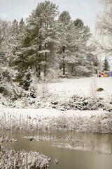 Frozen pond with ice and snow covered hill in the background with some trees and kids outdoor...