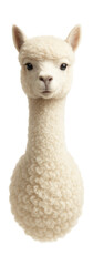 Fototapeta premium Alpaca with soft, fluffy fleece and long neck