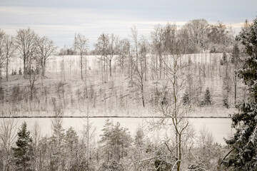 Frozen snow lake between forest hills with ovarcast winter sky