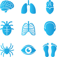 Collection of blue human and animal anatomy icons isolated on transparent background