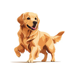 Happy Golden Retriever dog walking, a colorful and realistic vector illustration isolated on a white background.

