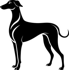Transylvanian Hound  silhouette vector black , white background