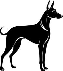 Transylvanian Hound  silhouette vector black , white background