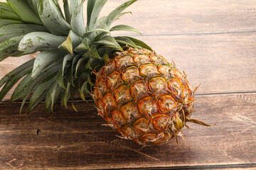 Tropical sweet exotic Pineapple fruit