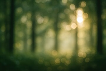 Enchanting forest scene with soft focus and warm sunlight filtering through the trees, creating a beautiful natural bokeh background.