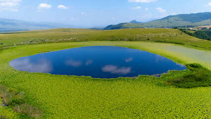 Obraz premium Lotus Lake wetland Park. Taken with a drone