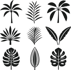 Tropical Palm Tree and Leaf Silhouettet Icon Set  – 6 Vector Bundle Collection