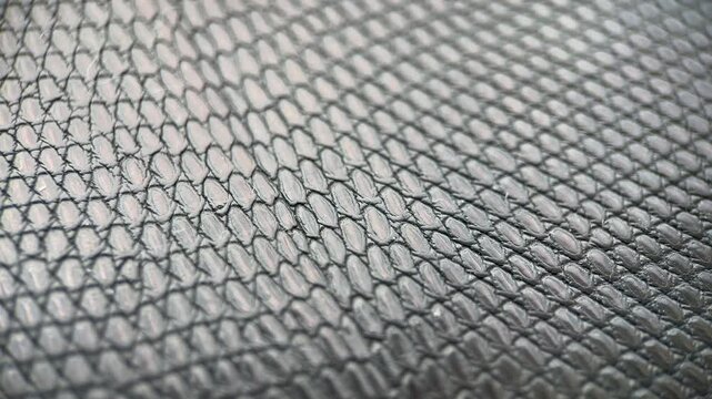 Texture Snake Skin Background, Slider Shot