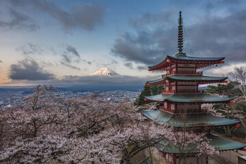 Chureito Pagoda, Fujiyoshida, Japan, with Mount Fuji in the background during cherry blossom season. Stunning sunrise view of iconic Japanese landmark with blooming sakura trees.