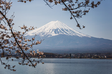 Majestic Mount Fuji in Japan, with cherry blossoms in the foreground, offers a stunning view across...