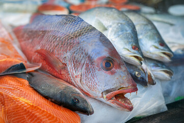 Fish on counter. Fresh whole fish and salmon fillets on ice at seafood market showcasing texture, scales and freshness. Concept of dieting, seafood quality and healthy protein