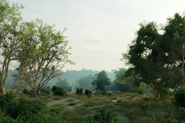 Serene, hazy dawn scene depicting a gently sloping, grassy path flanked by lush green deciduous trees and shrubs, extending into a misty, forested background under a pale sky