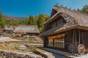 Traditional Gassho-style farmhouses in Shirakawa-go, Japan.  These UNESCO World Heritage sites showcase unique architecture and rural life.  Dried corn hangs outside, adding autumnal charm.