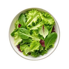 lettuce salad leave on transparent background
