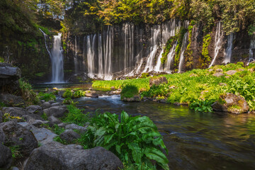 Shiraito Falls in Japan's Fuji Five Lakes region.  Numerous cascading waterfalls flow down a...