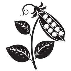 Black pea pod with leaves and tendril white