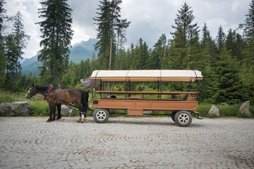 Horse-drawn carriage for tourist transport.
