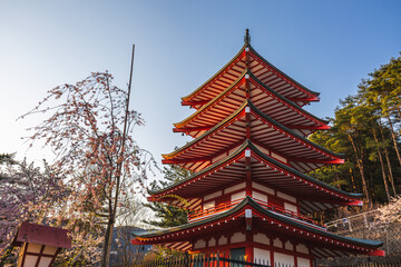 Red pagoda in Japan during cherry blossom season.  The vibrant structure contrasts beautifully with the delicate pink blossoms. A serene and picturesque scene.