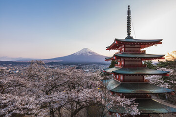 Majestic Mount Fuji viewed from Chureito Pagoda in Fujiyoshida, Japan, during cherry blossom...