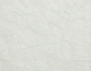 くしゃっとした和紙 04