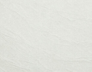 くしゃっとした和紙 06