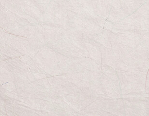 くしゃっとした和紙 03