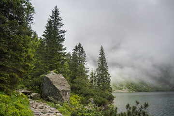 Mountain road, forest path, journey in a national park.
