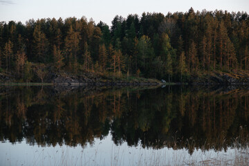 reflection of trees in the lake