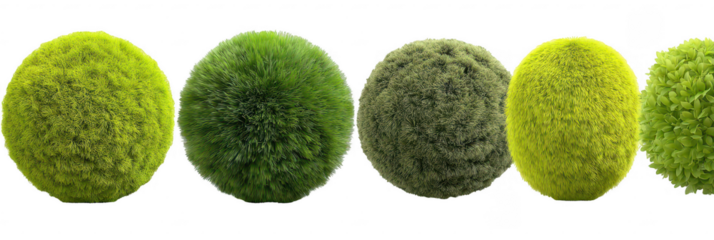 Series of green, fluffy balls