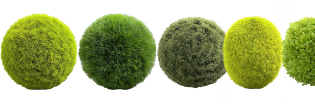 Series of green, fluffy balls