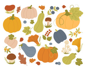 Colorful vector illustration of autumn vegetables, fruits, and mushrooms, featuring pumpkins, leaves, berries, and various fungi. Perfect for seasonal design and nature-themed projects.