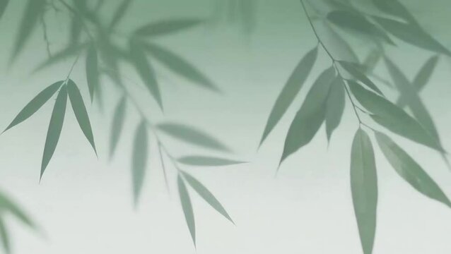 Bamboo shadows on a green background swinging gently in the wind