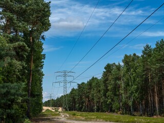 Obraz premium Power lines running through a forest clearing with a sandy trail beneath. A contrast of infrastructure and nature under a bright blue sky in a rural landscape