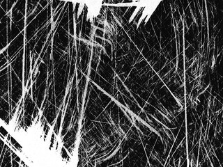 Intricate patterns of scratched surface reveal textured artistry in black and white