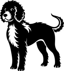 Spanish Water Dog
 silhouette  vector black , white background  