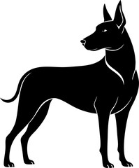 Thai Ridgeback silhouette vector black , white background 