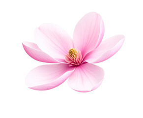 pink realistic flower