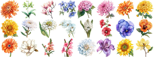 Watercolor flower set isolated background. Various floral collection of nature blooming flower clip art illustration element for retro flora wedding or romantic valentine card. crisp edges cut out.