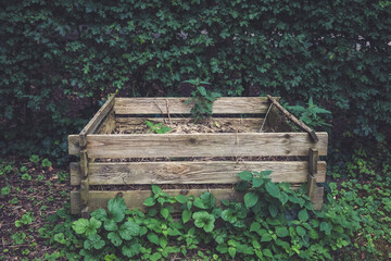 Wooden compost bin thrives in lush greenery under soft morning light in a serene garden setting