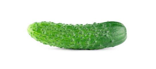 Fresh cucumber on white background