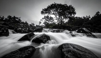 Black and white landscape featuring a flowing river cascading over rocks, with a prominent tree in the background under an overcast sky.