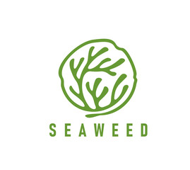 Tropical algae seaweed icon. Company or brand vector icon or sign with coral reef aquatic plant, underwater algae. Tropical sea undersea flora or ocean water seaweed emblem or symbol