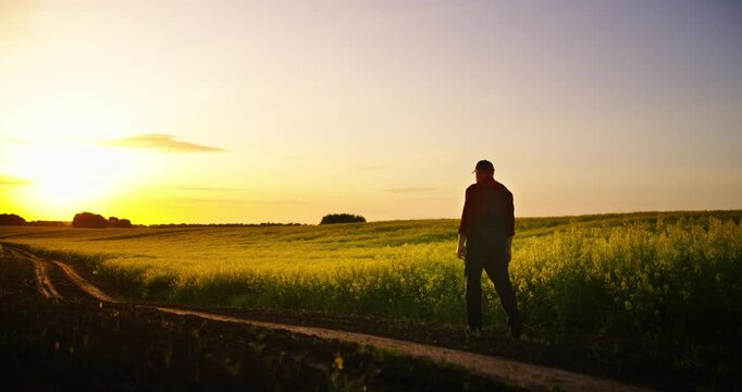 Picturesque Rustic Landscape, Old Man Walking Alone In Nature In Farmland, Cinematic Slow Motion