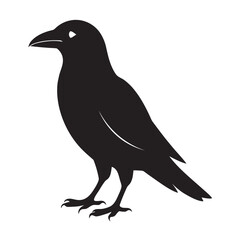 Fototapeta premium Black crow silhouette simple vector icon
